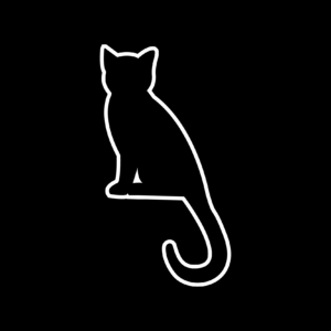 Black Cat IT Solutions